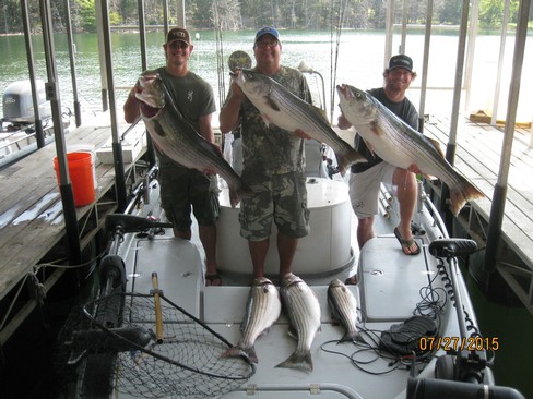 Nice Striped Bass